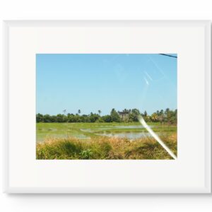 Window View