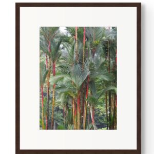Urban Jungle